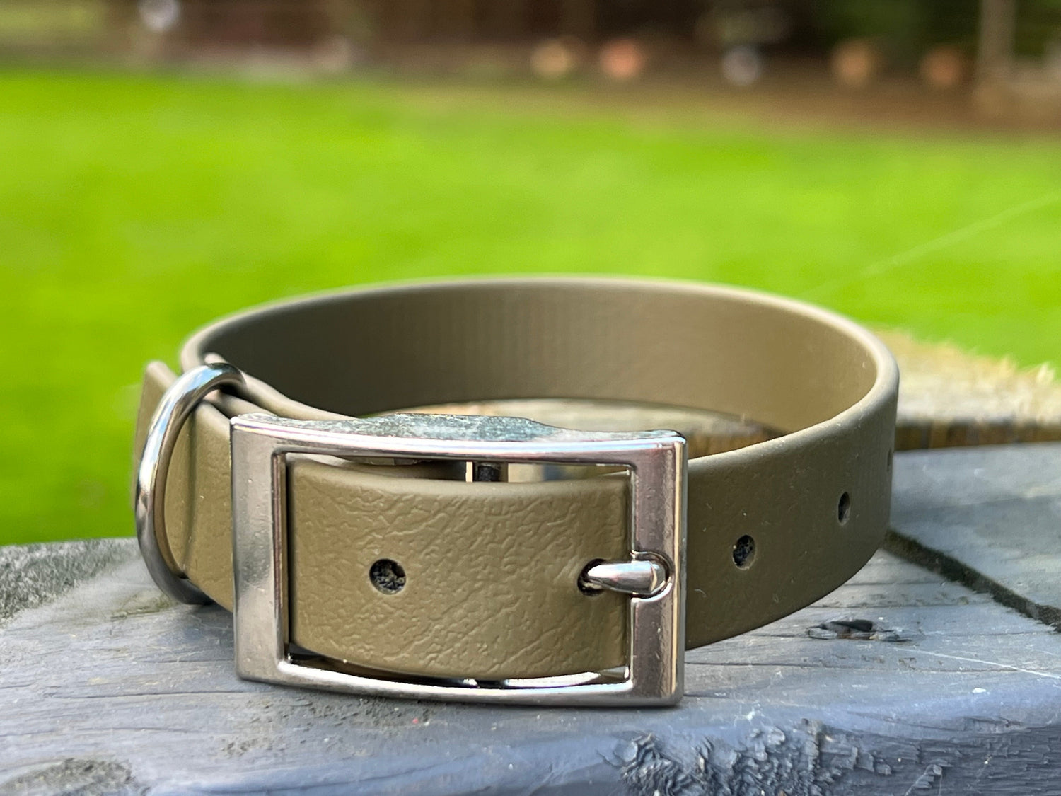 Puppy Collar