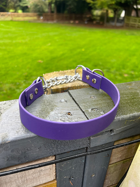 Quick fit dog collar with 25mm biothane